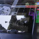 A photo of how a computer perceives objects on the road.